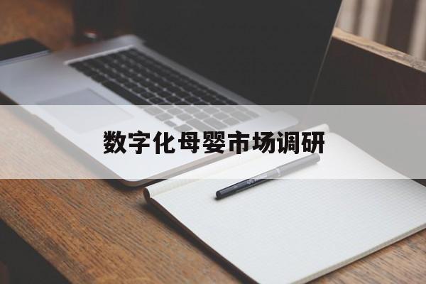 韶关市数字化母婴市场调研(数字化母婴市场调研报告)