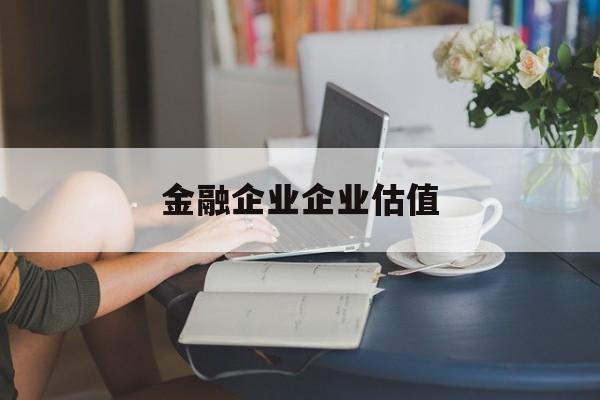 韶关市金融企业企业估值(最新企业估值怎么填)